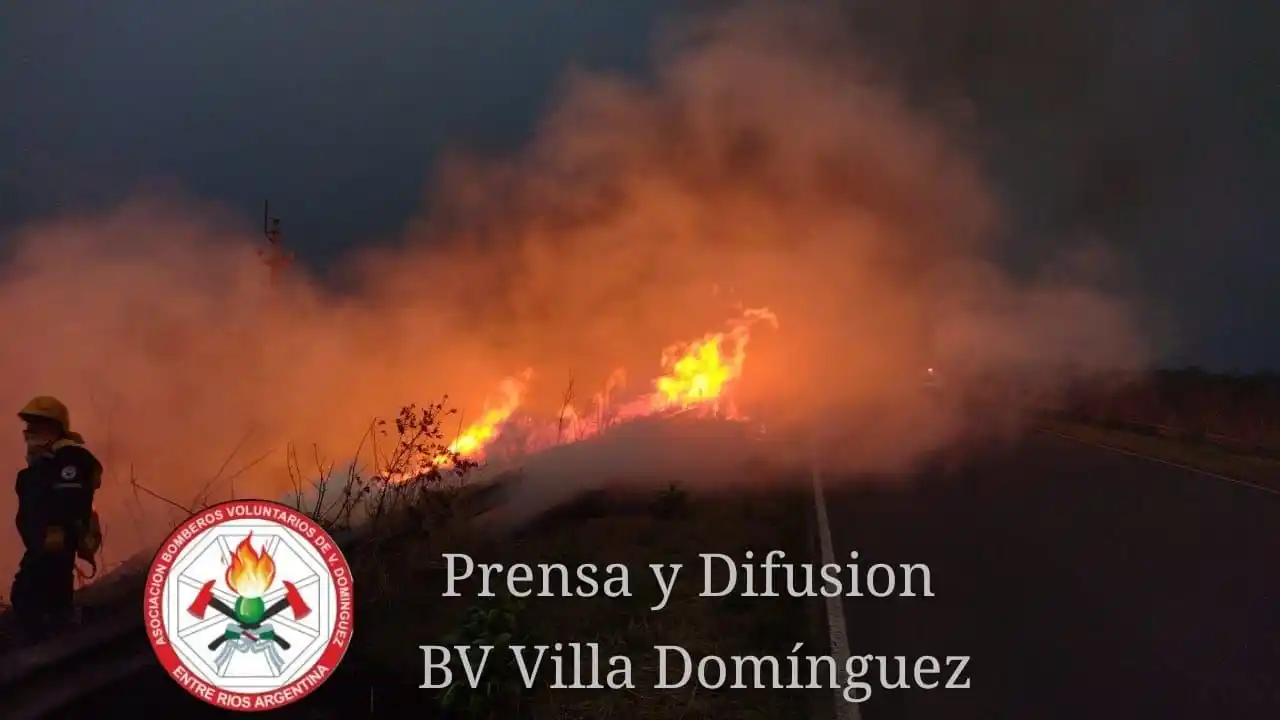 Incendio forestal sobre ruta 20: Bomberos lograron controlar las llamas