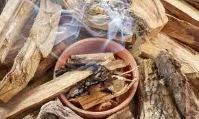 Beneficios y usos del palo santo