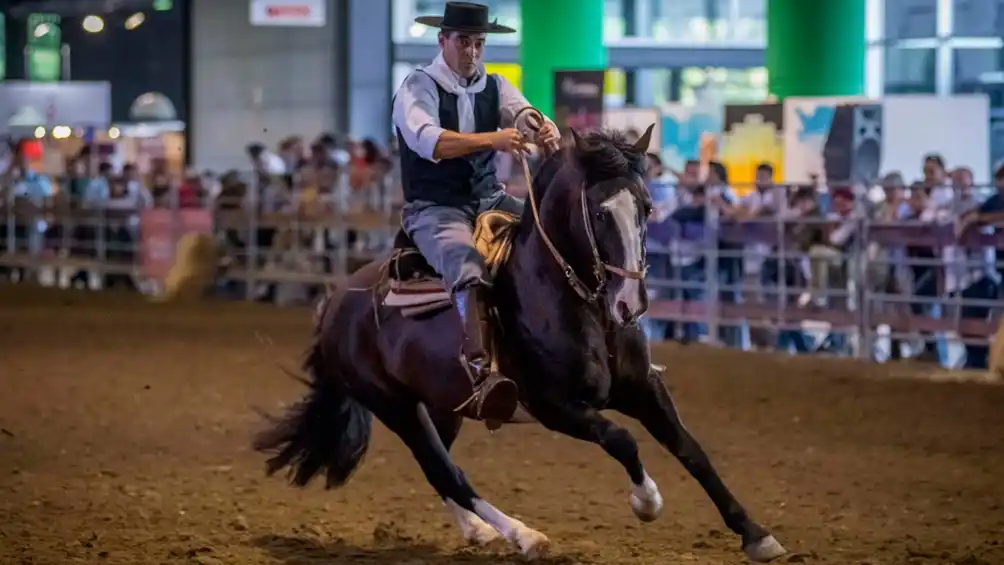 Activistas veganos irrumpieron en una exhibición de caballos en La Rural y fueron agredidos por los jinetes