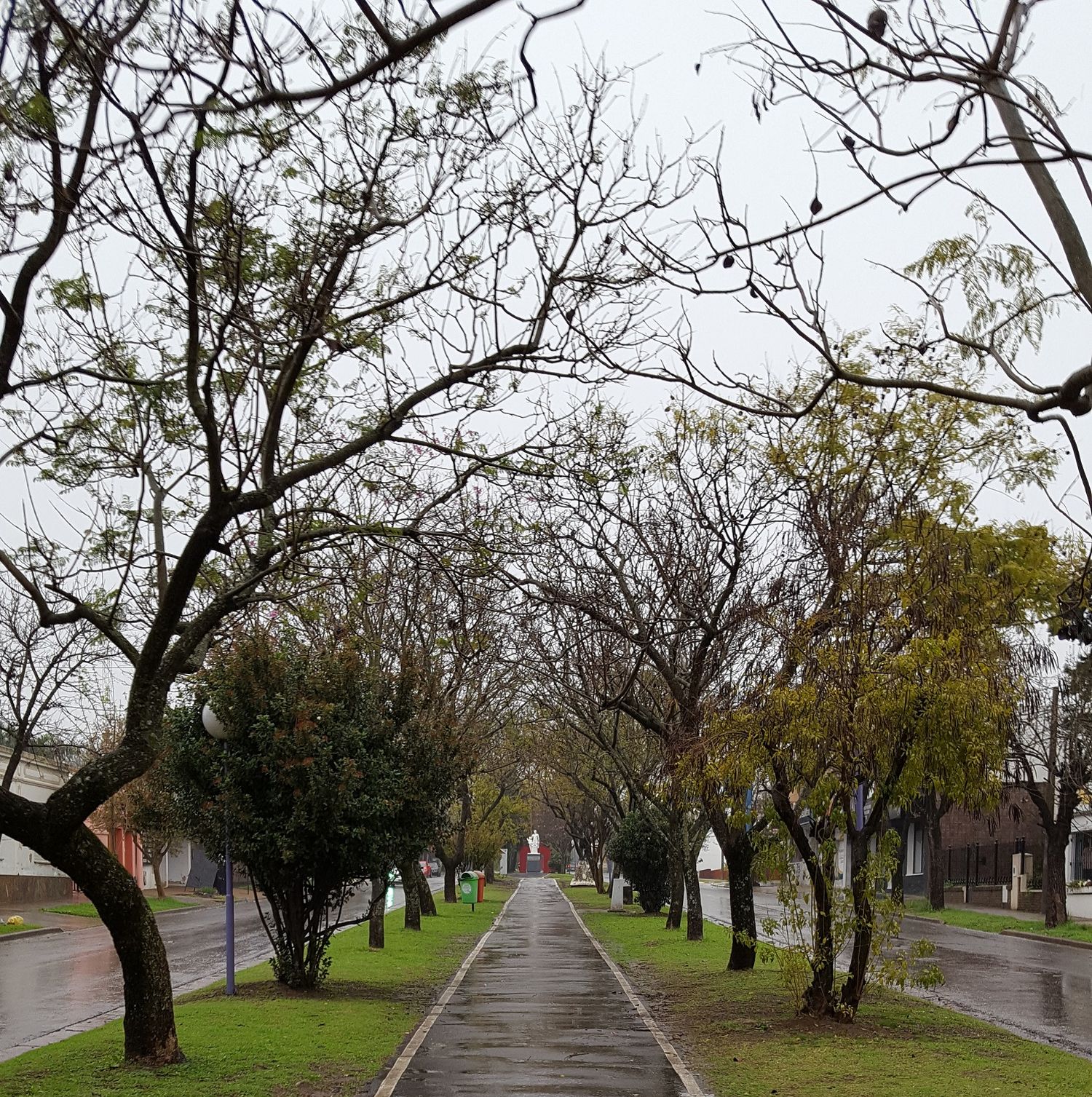 Prevén que las condiciones climáticas tenderán a mejorar durante la mañana de hoy