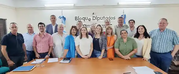 Presidirá la cámara baja Gustavo Hein y Fabián Rogel el bloque de Juntos por Entre Ríos