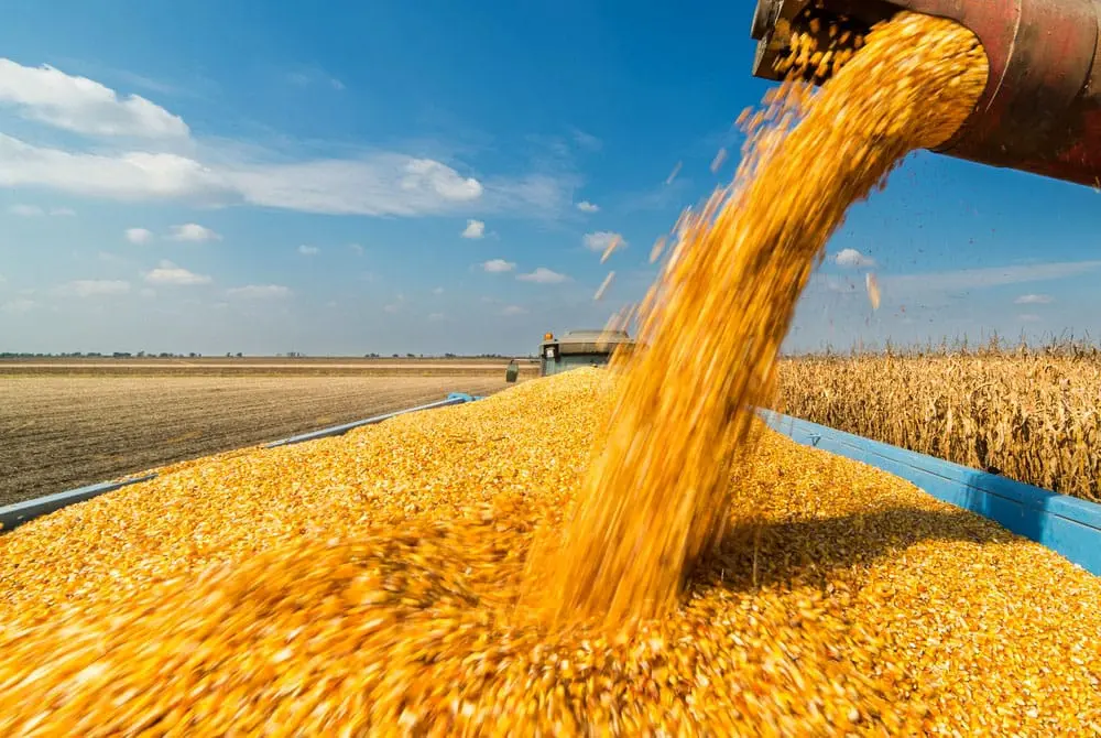 Cierre de los mercados del 5 de agosto