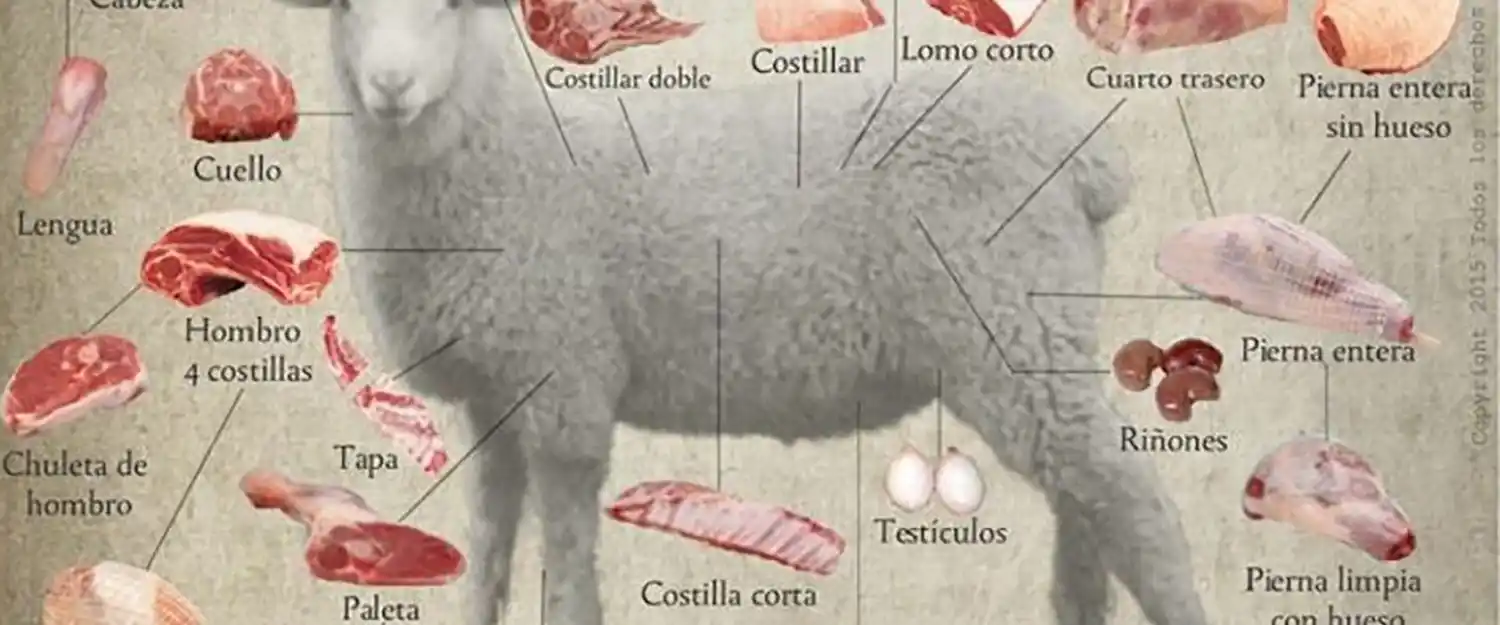 Nación aprobó un nomenclador de cortes de carne y menudencias ovinas