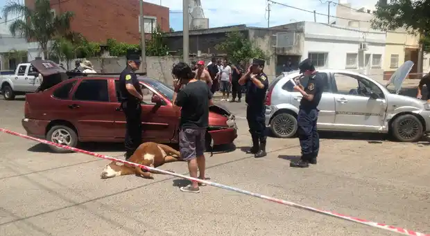 Mató un ternero, los persiguieron y chocó a otro auto 