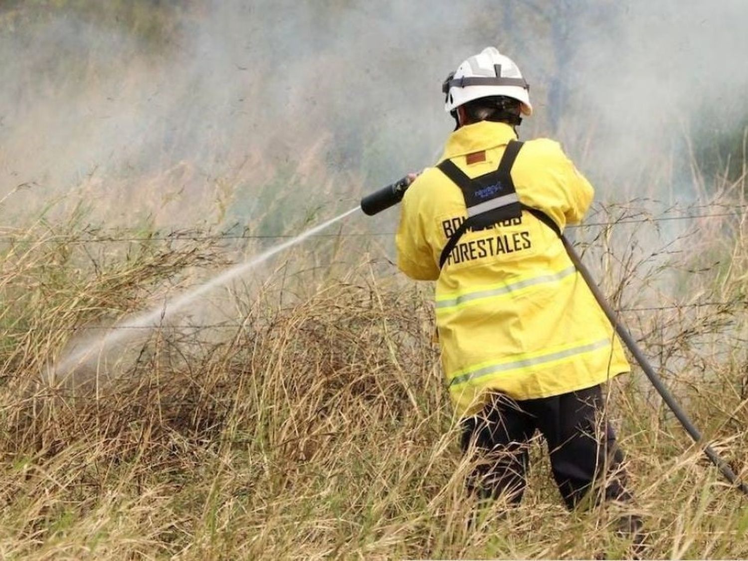 La provincia de Corrientes enfrenta una devastadora serie de incendios