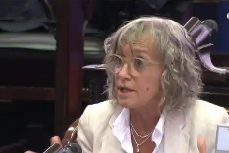 La diputada Mónica Frade apuntó contra Mussi