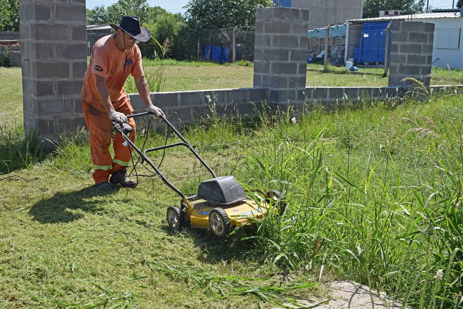 La limpieza de nuestro hogar es fundamental para evitar la reproducción de mosquitos