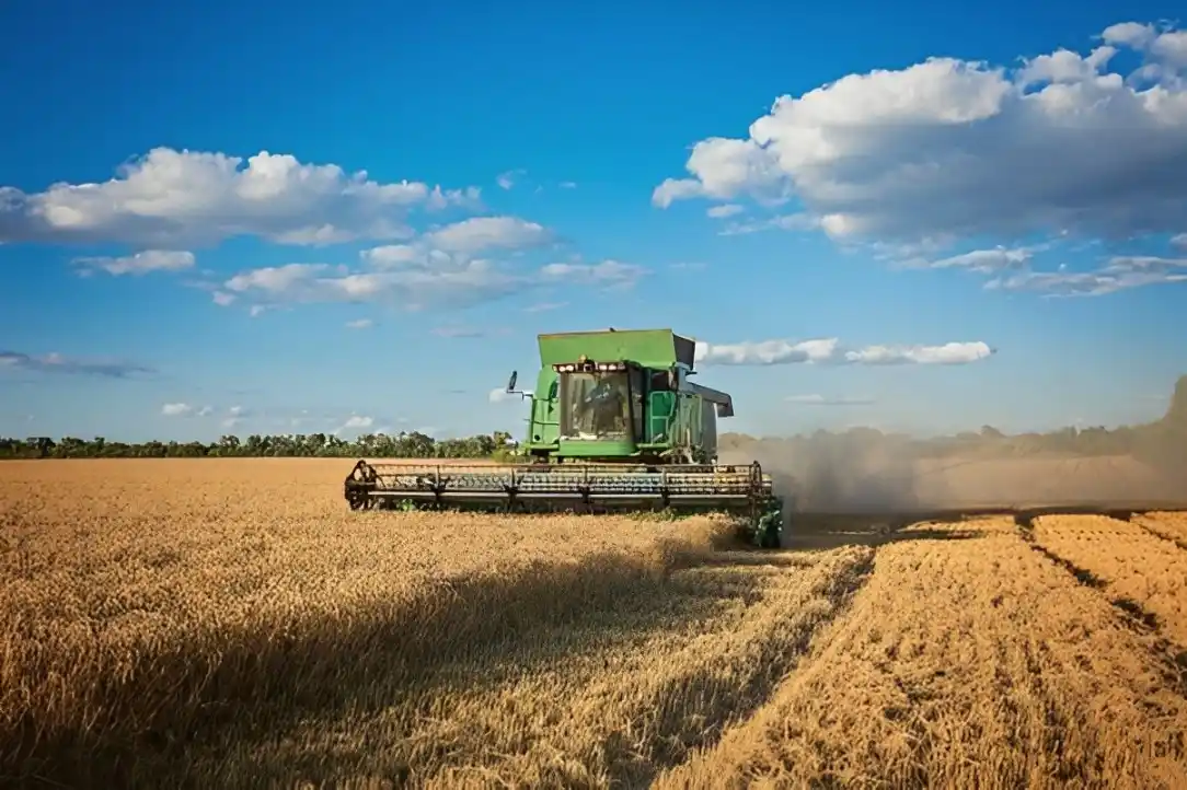El blanqueo de capitales está favoreciendo la venta de campos y propiedades rurales
