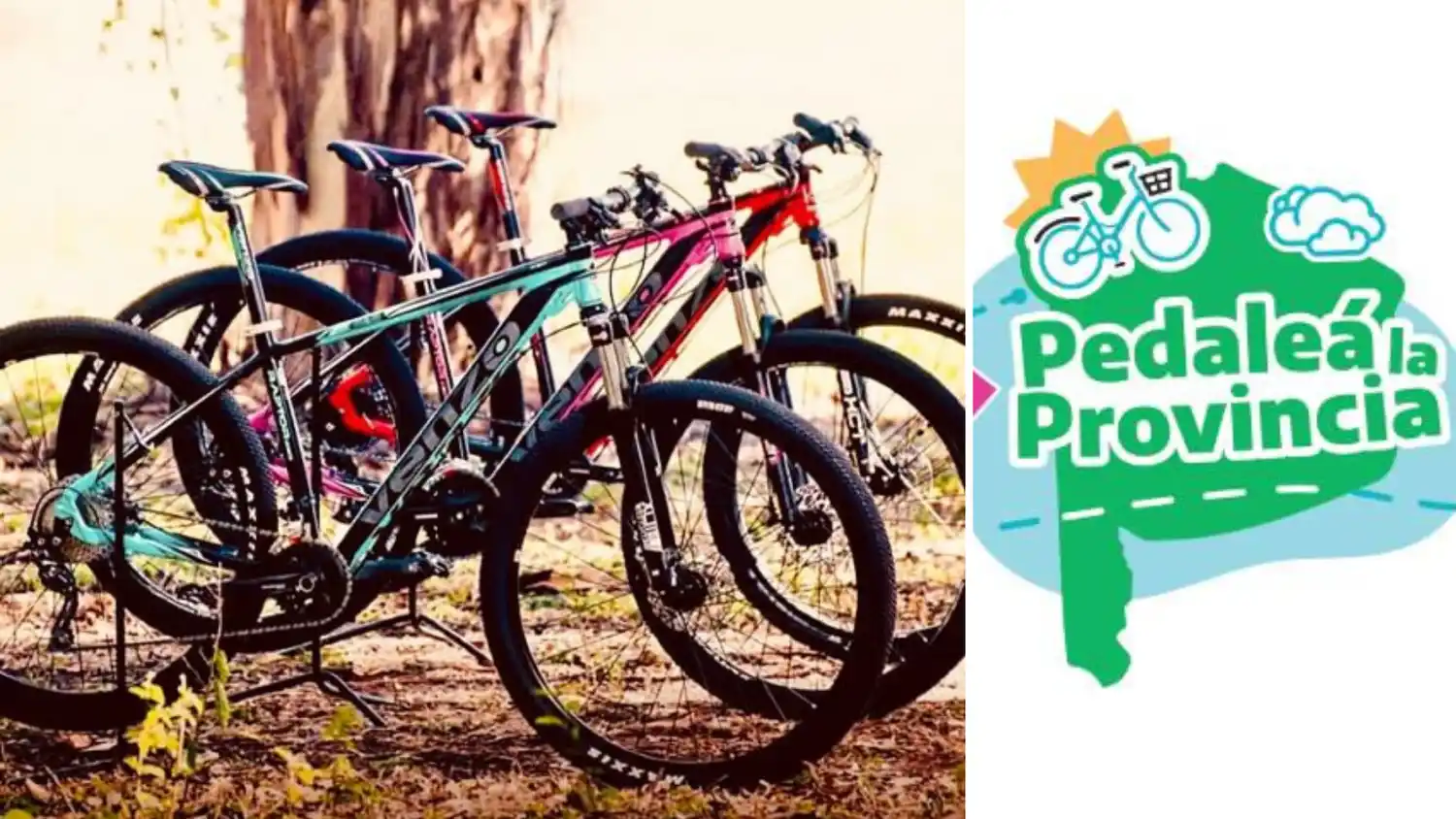 Bicis para los chicos de la EESN.°2: El programa de la provincia para fomentar el transporte saludable