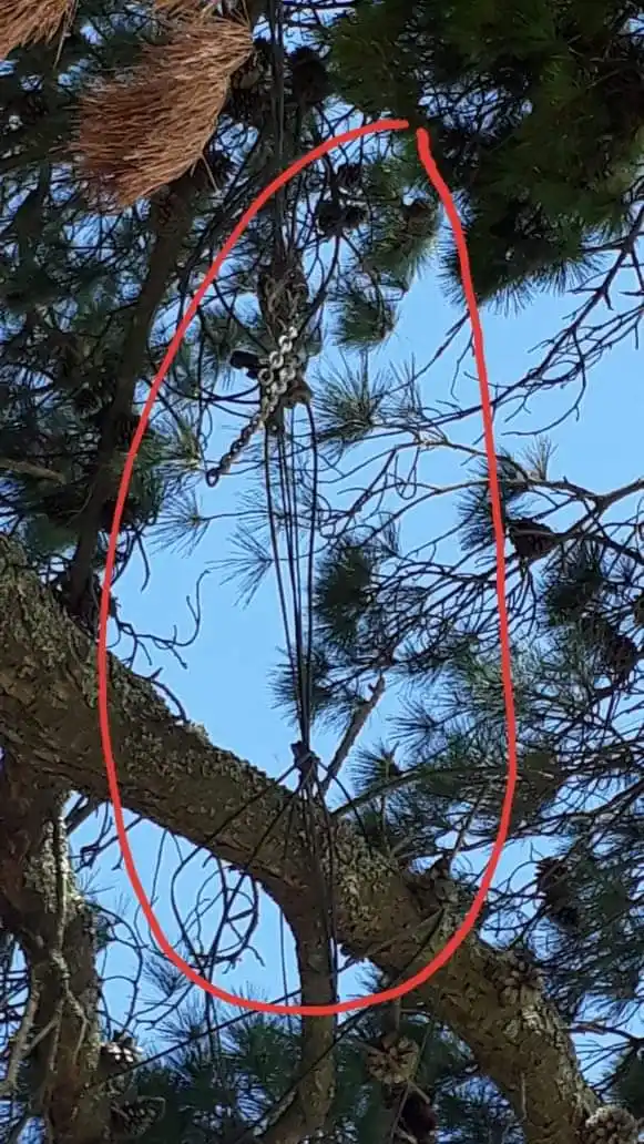 No se queje si no se queja