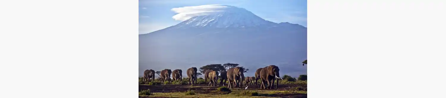 En los últimos años, los Viajes a África en privado se han convertido en uno de los grandes sueños de los viajeros que buscan experiencias auténticas.