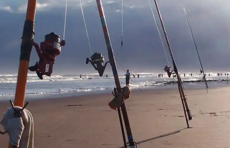 Fiesta Nacional de la Corvina Negra en La Costa: Cuatro noches de música, pesca y un concurso que entrega 800 mil pesos