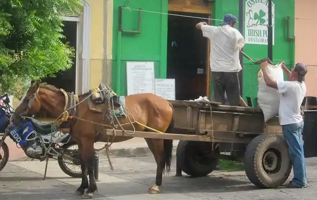 Proponen remplazar a los carros tirados por caballos en la ciudad 