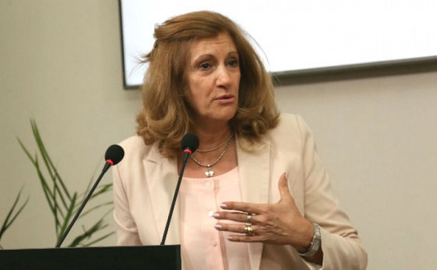 “No hay banderas políticas, acá hay un solo objetivo que es combatir el narcotráfico”