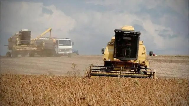 El 60% de las exportaciones de la primera mitad del año fueron productos del campo