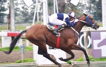 Sábado 16: Actividad Hipódromo de La Plata