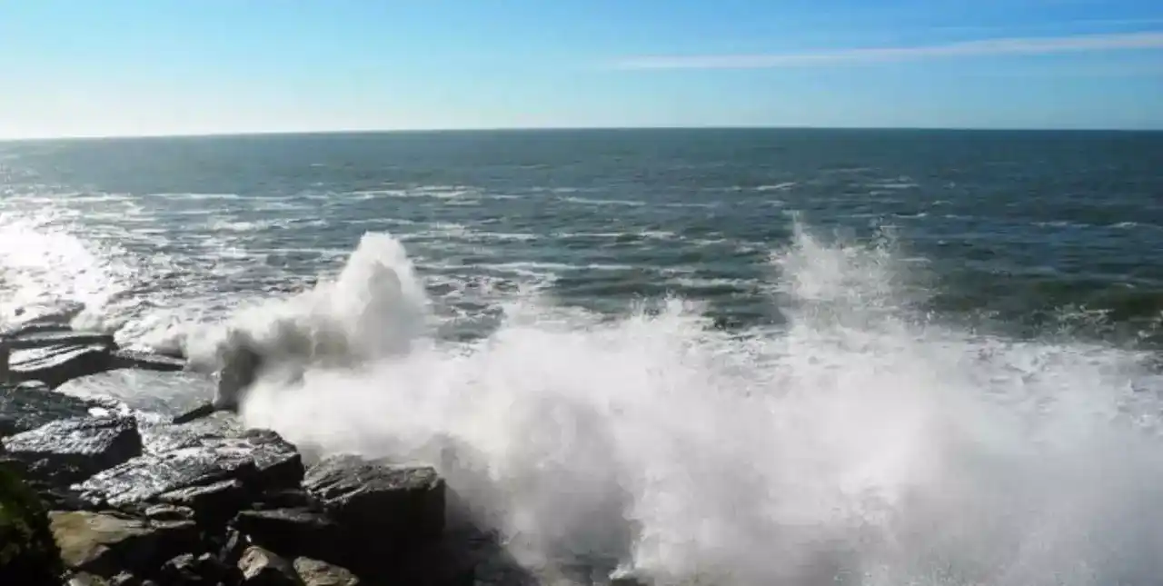 El Mar Argentino, desprotegido: un congreso impulsa su conservación