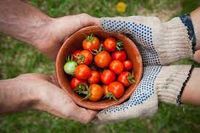 Productos Kilómetro Cero, la tendencia a consumir ecológico, orgánico, de proximidad, de temporada y local