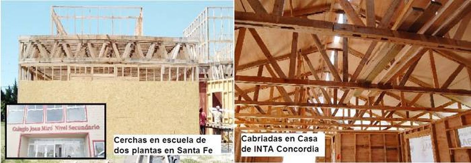 Cerchas entramadas de eucalipto:  una solución sencilla