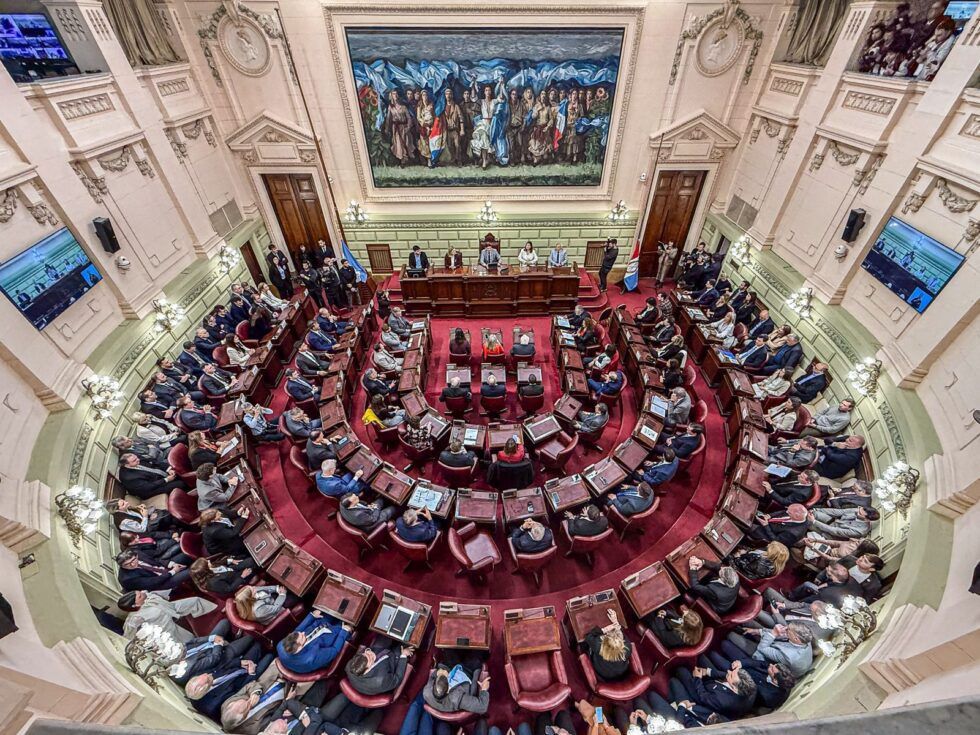Juró Verónica Colombo como convencional constituyente en reemplazo de Locomotora Oliveras