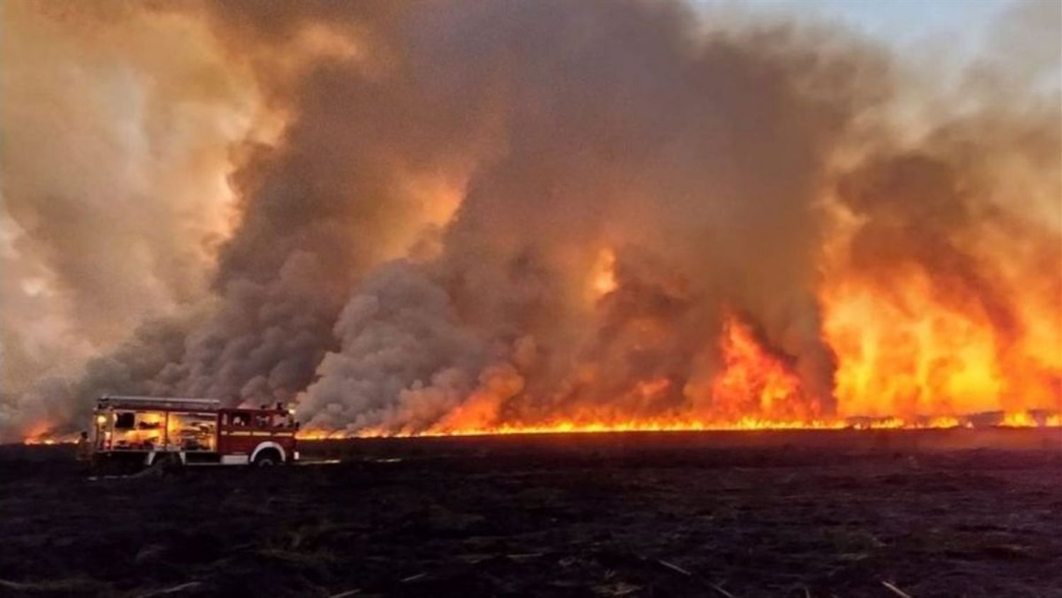 Incendios parana