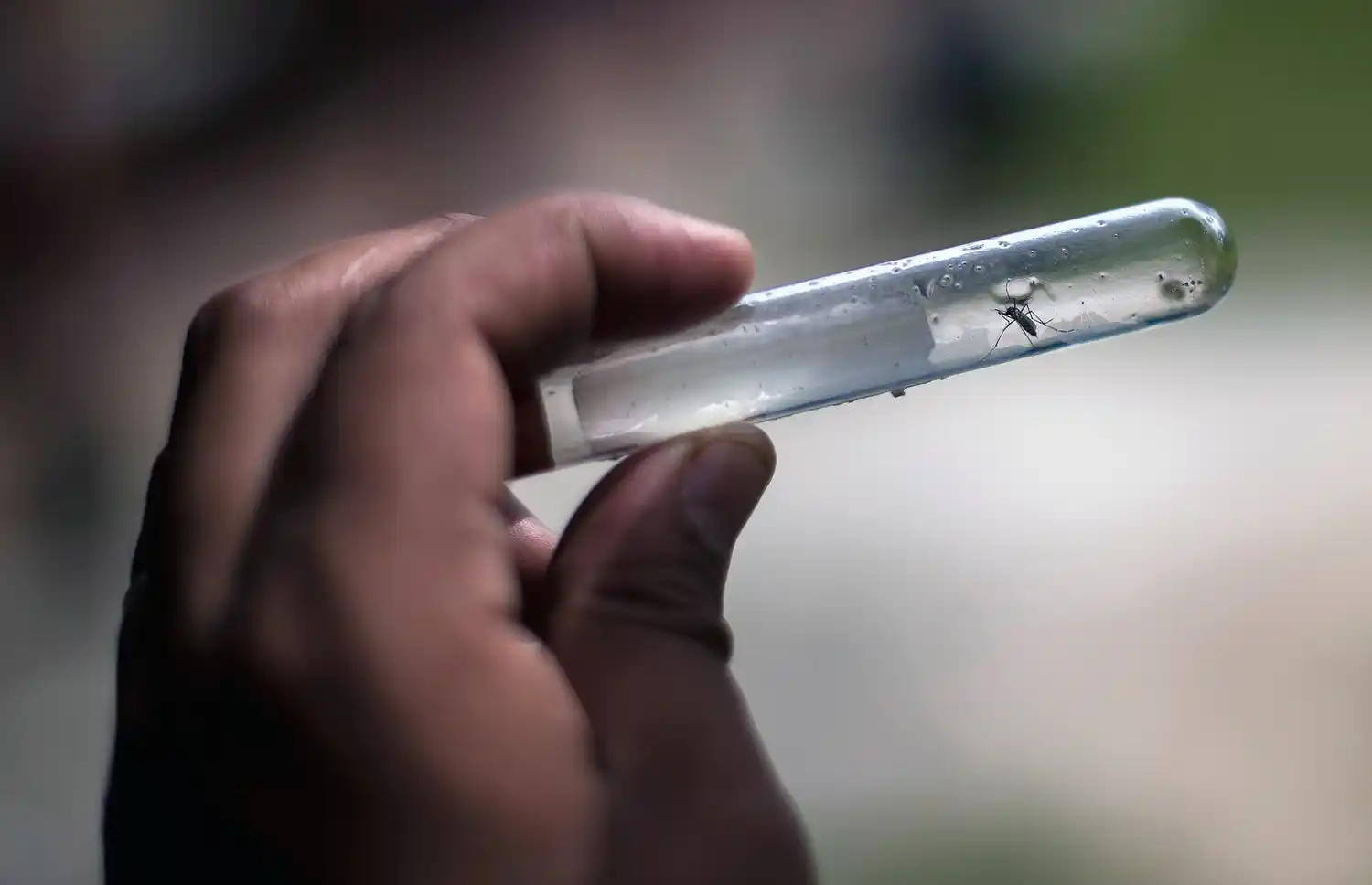 Son 44 los casos de dengue confirmados en la provincia