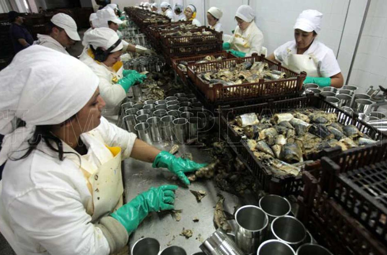 La actividad económica cayó 7,5% en noviembre, la peor baja en 9 años