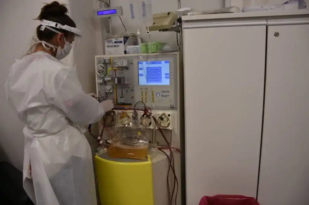 Coronavirus: promueven la donación de plasma de convalecientes