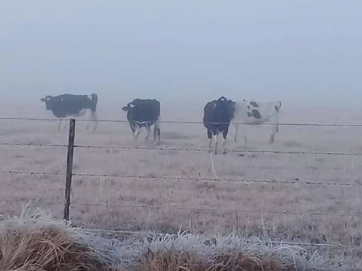 Miércoles frío y temperaturas bajo cero