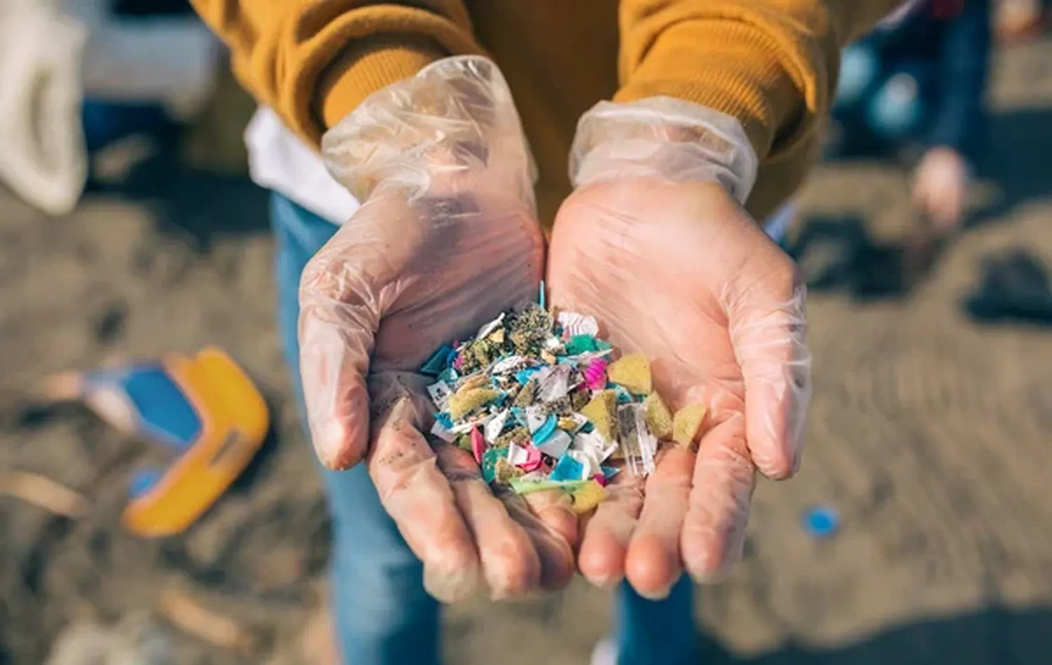 Preocupa la presencia de microplásticos en el Mar Argentino