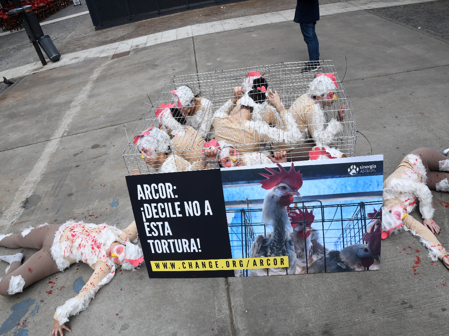 Protestan contra el sistema de jaulas en la industria del huevo con una performance 