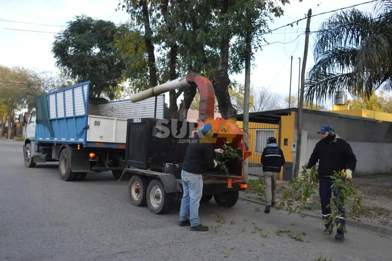 El Municipio intensifica tareas de poda y desmalezado