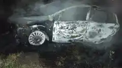 Bomberos: choque contra un ciervo en Ruta 12 e incendio total de un vehículo