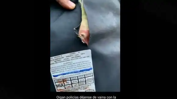 CON ARMA EN MANO: delincuentes le dejaron un mensaje a funcionarios