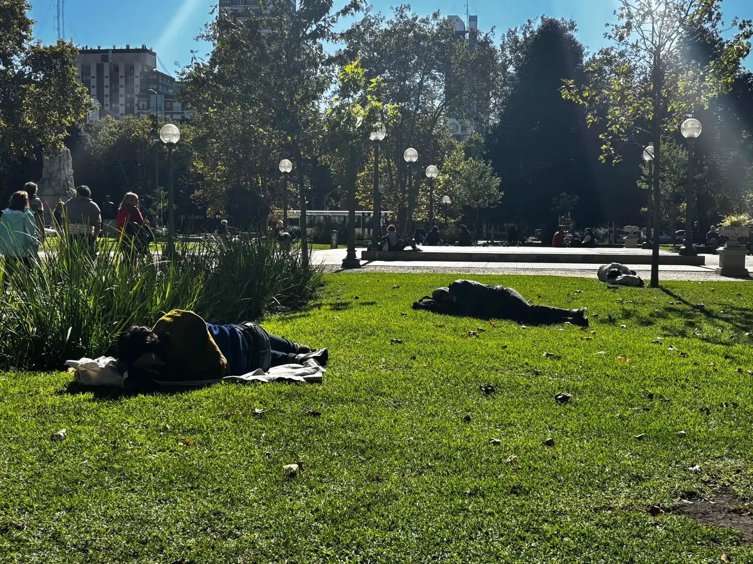 Frente a este escenario, se avanzará en la realización de un censo por parte del Municipio y la Provincia para dimensionar la problemática y planificar respuestas más efectivas.