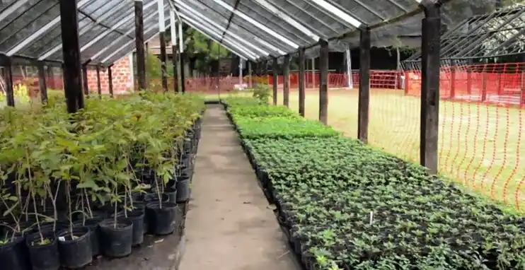 Avellaneda: El Vivero municipal abre sus puertas a la comunidad