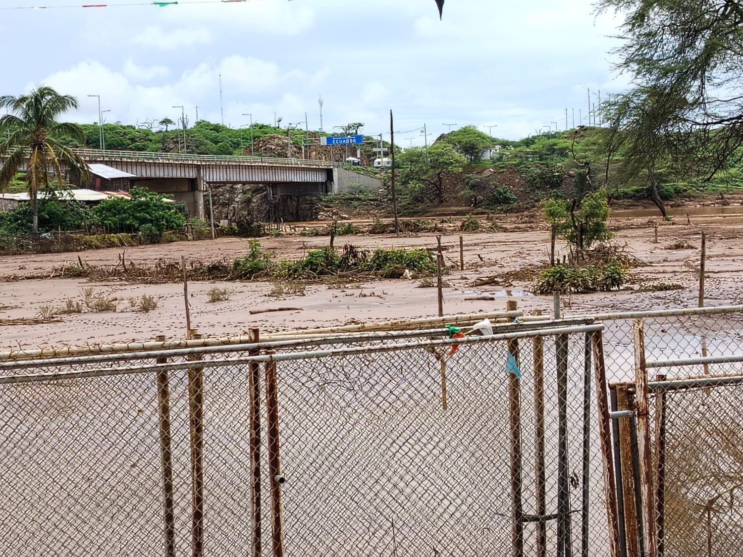 imagen Ecuador bajo el agua: las intensas lluvias causaron estragos y hay al menos ocho muertos