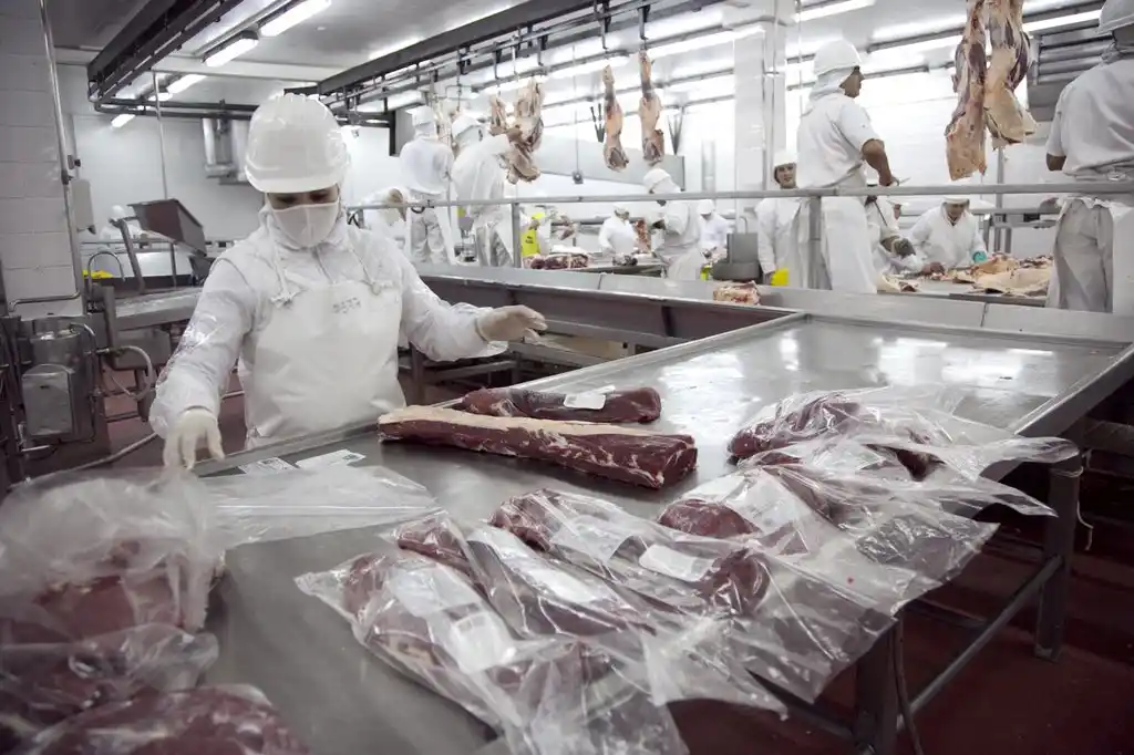 China autorizó ocho establecimientos de carne bovina para exportar, la mayoría de Provincia