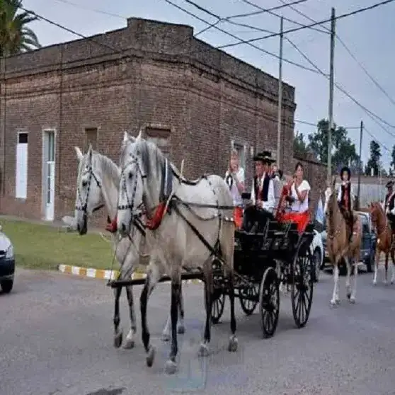 Fiesta de la Tradición