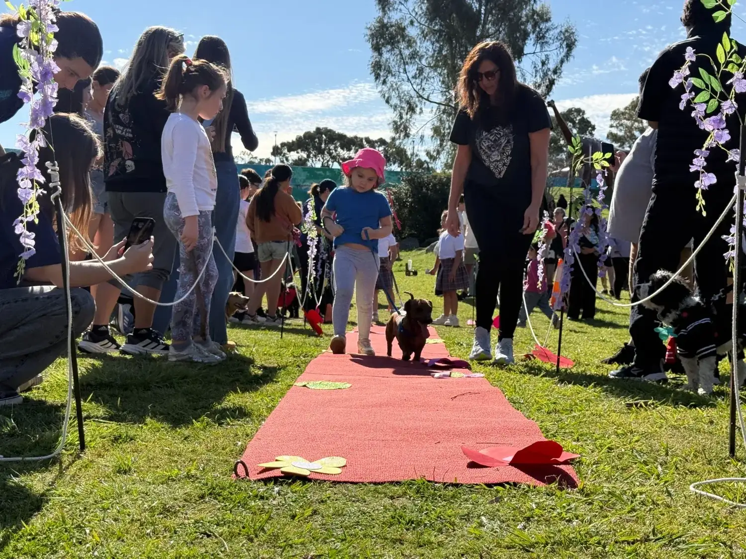 Los perros desfilaron disfrazados, por la pasarela y en compañía de sus tutores.