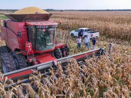 La Angélica hace punta en la integración 
de cultivos para la alimentación de su rodeo