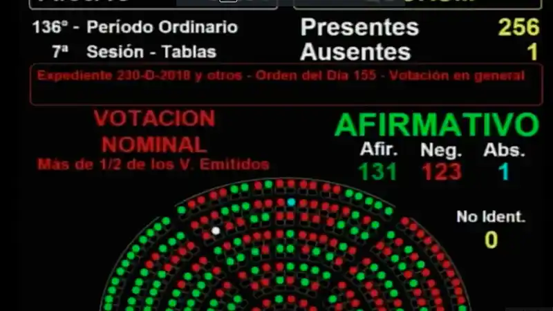 Diputados aprobó el proyecto: la despenalización del aborto tiene media sanción