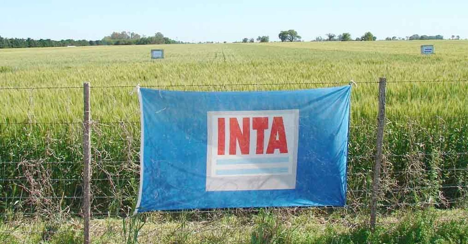 Informe de la Federación Agraria: La tarea del momento es defender al INTA