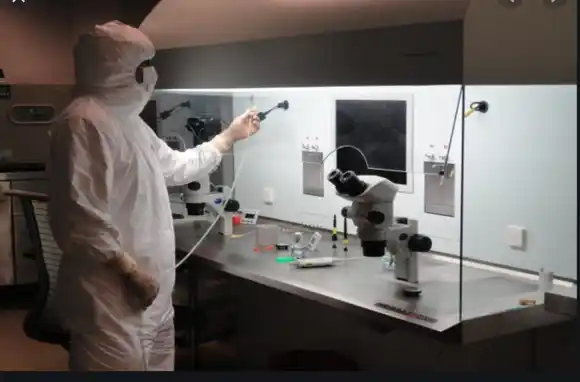 UNMdP: "Pareciera que hay un ensañamiento con el sistema científico y tecnológico"