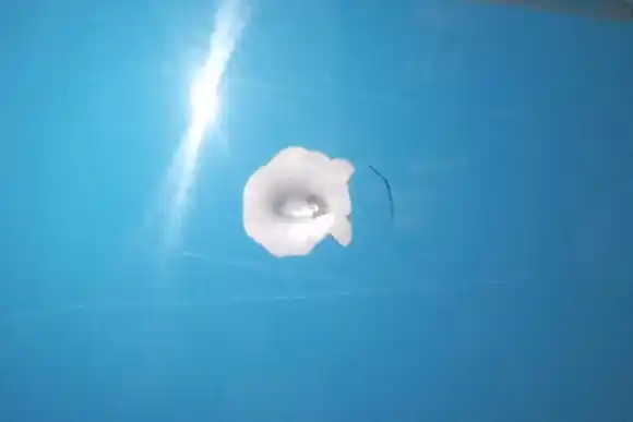 Imputaron a la policía del 911 acusada de filtrar información a su novio preso por una balacera a un colectivo