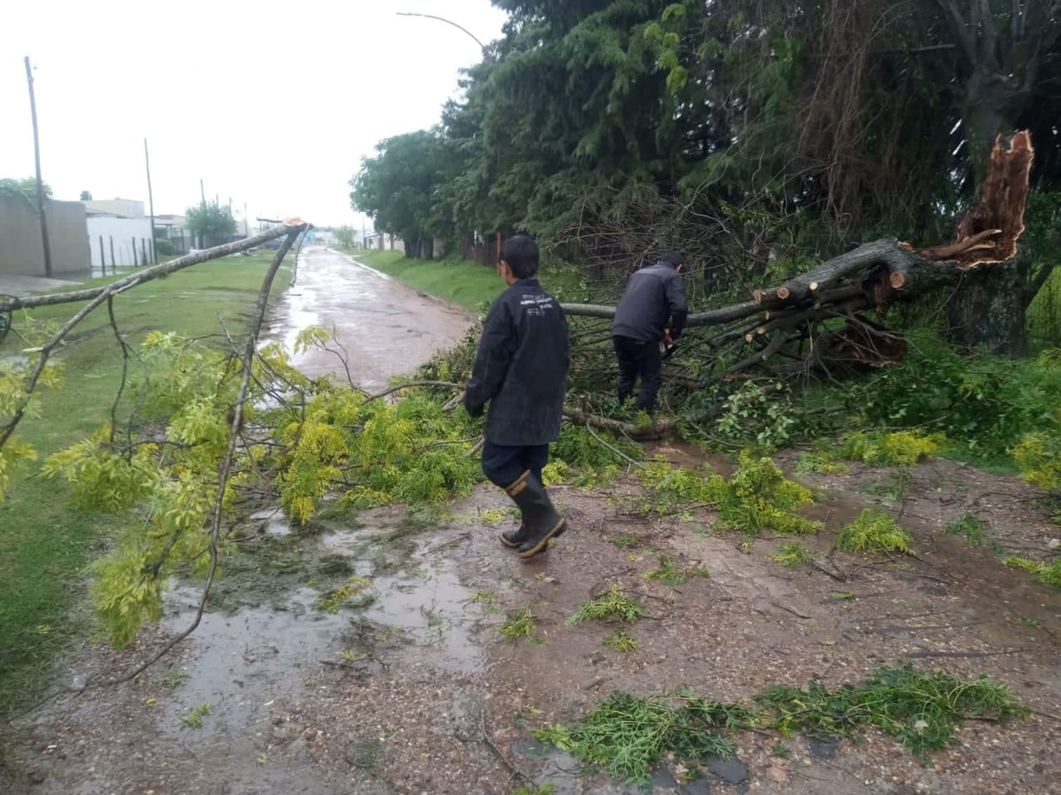 Trabajos tras el temporal