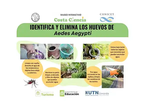 “Romper el banco de huevos del mosquito Aedes Aegypti