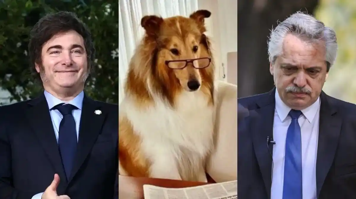 Milei se ofreció a cuidar a Dylan