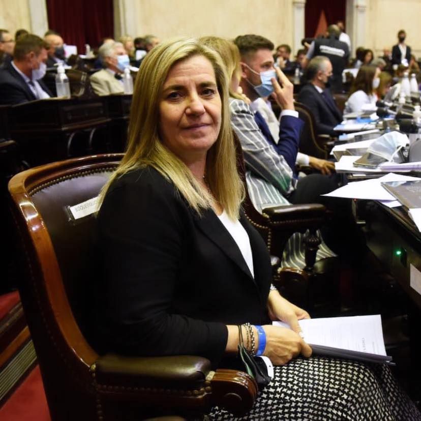 M. Antola: “Logramos que el proyecto de Boleta Única de Papel obtenga la media sanción”