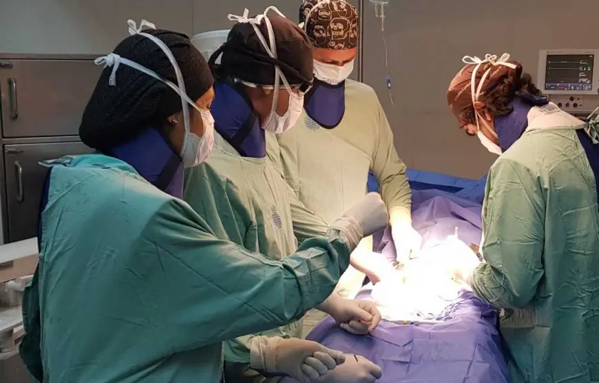 Aplican una novedosa técnica para operar aneurismas en un hospital de La Plata